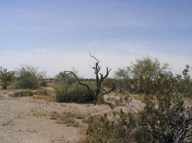 The confluence looking west