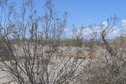 #5: View to the north from the confluence.