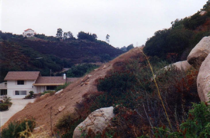 Suburbia encroaches on the hillside