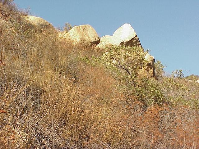 View of the confluence site, looking northeast.