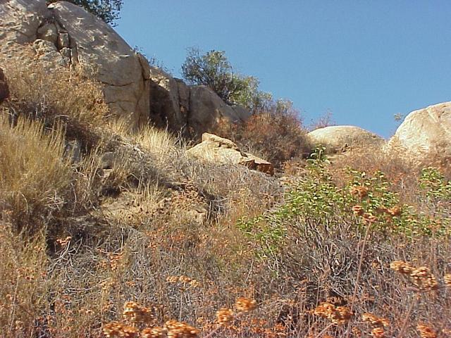 View to the north from the confluence site.