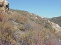 #2: View to the east from the confluence.