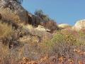 #5: View to the north from the confluence site.