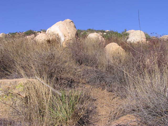 View north - towards Mt. Woodson (hidden)