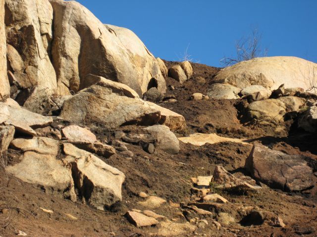 Looking uphill at the confluence