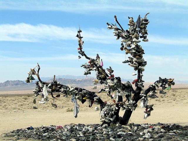 Shoe tree