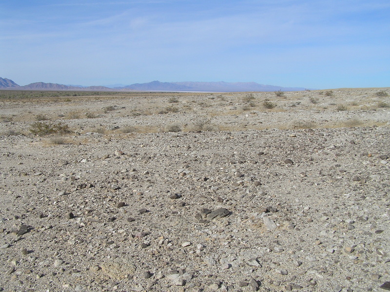 View to the north from the confluence.