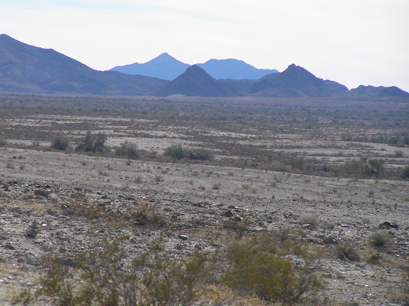 View to the southwest from the confluence.