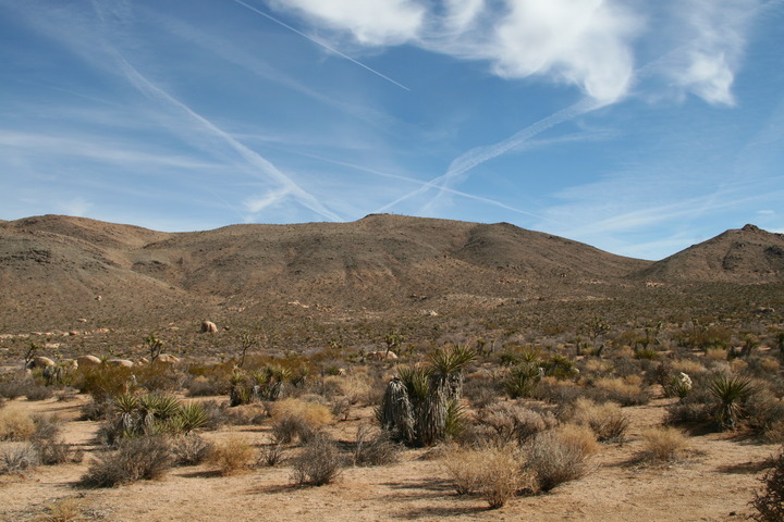 View of the confluence and radio towers from the Belle campground.