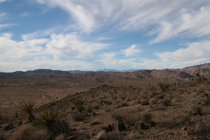 This is a view looking west from the confluence, showing the way from which I came.