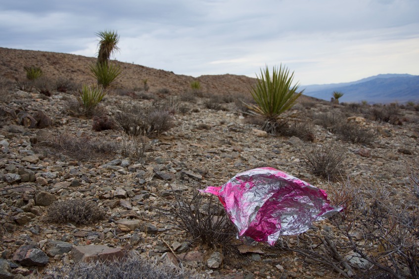 This stray mylar balloon has, coincidentally, made a successful visit to the point