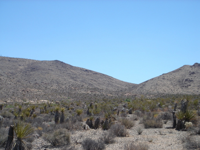 view of CP area from Belle campground