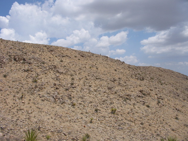 View from the confluence to the east