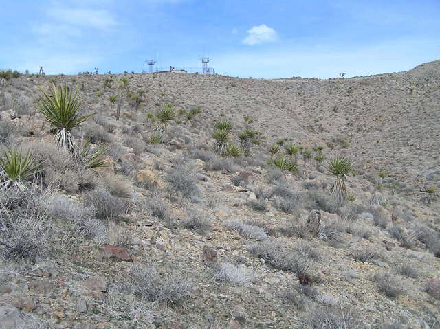 View to the north from the confluence.