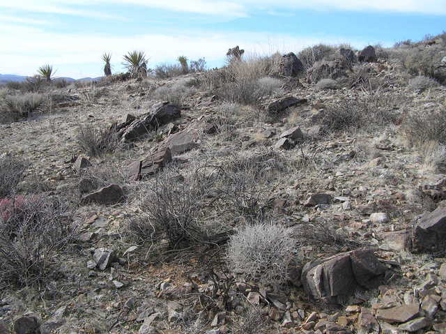 View to the west from the confluence point.