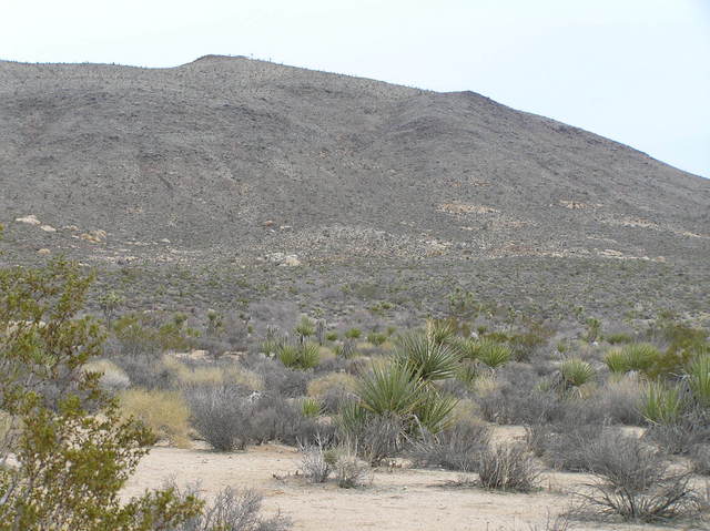 Looking east at the confluence from 1 km west:  The point is 150 meters past the top of the highest ridge.