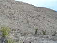 #2: View to the east from the confluence.