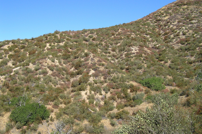 View to the north from the confluence.