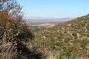 #3: View to the west from the confluence point.