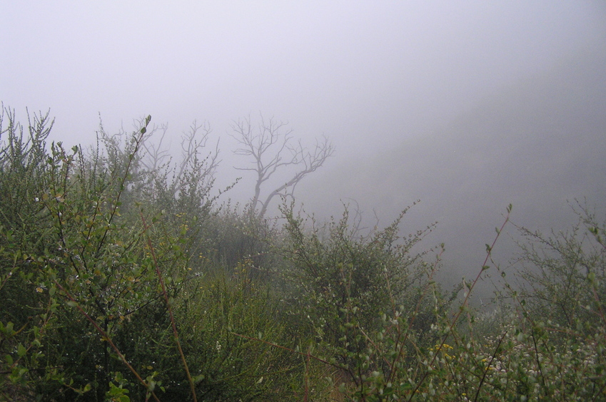 View to the north from the confluence site. 