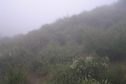 #2: View to the east from the confluence point.  Most views were gloomier than this one.