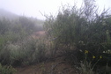 #4: View to the south from the confluence.