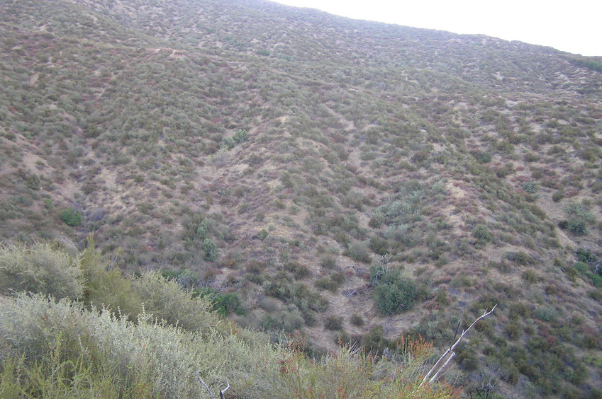 The confluence point of 34 North 117 West lies in the exact center of this photo--on the north-facing slope of this ridge.