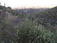 #2: Ground cover at the confluence, looking west northwest.