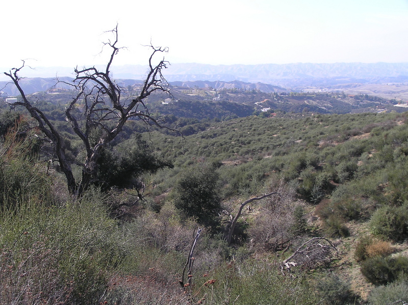 View to the west from the confluence.