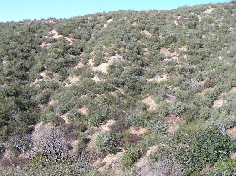 View to the north from the confluence.