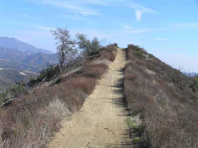 Trail along the top of the ridge to the east of the confluence.