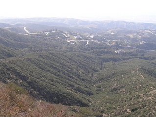 #1: A different view of the confluence, from the ridge to the east, looking west at the point, located in the bottom of the ravine near the large bare trees.