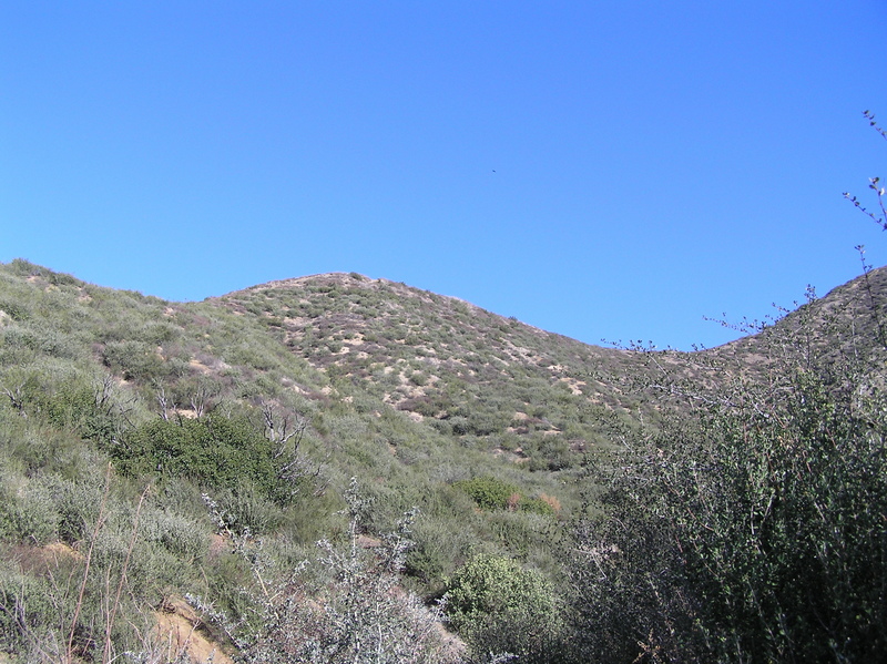 View to the east from the confluence.