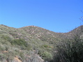 #2: View to the east from the confluence.