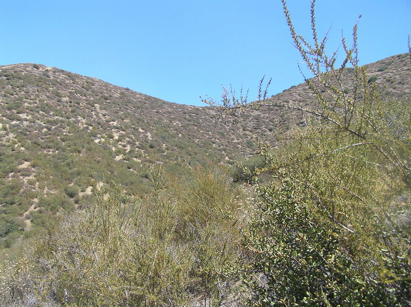 View to the east from the confluence.