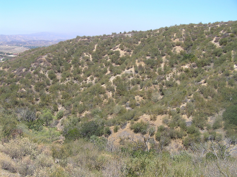 View to the north from the confluence.