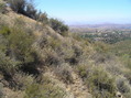 #7: View to the west from the confluence.