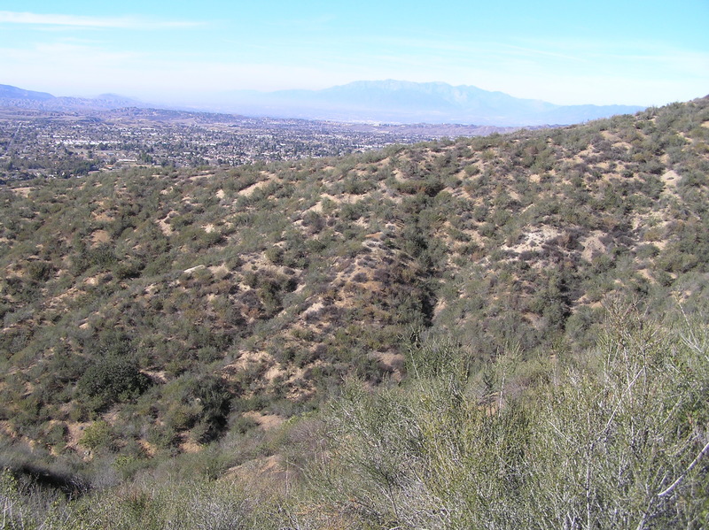 View of the confluence in the foreground, looking north.