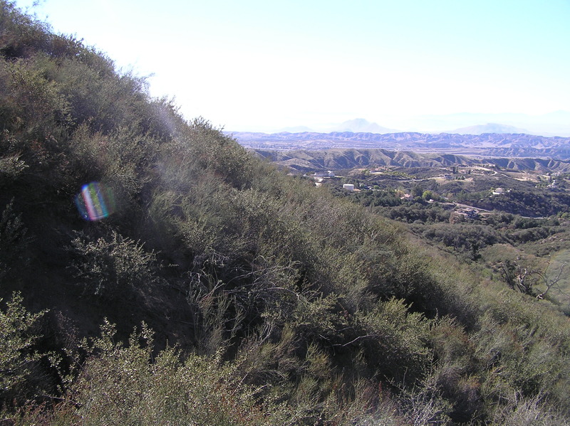 View to the west from the confluence point.