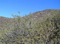 #3: View to the east from the confluence.