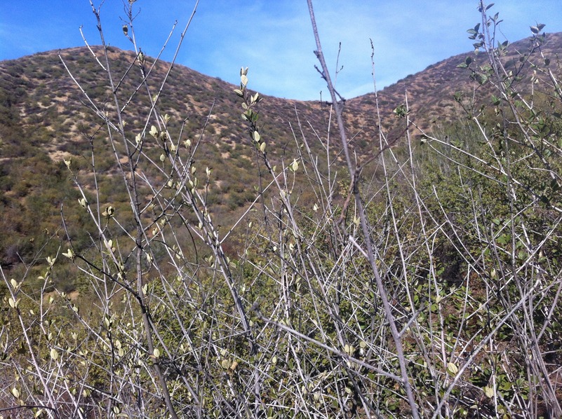 View to the east from the confluence.