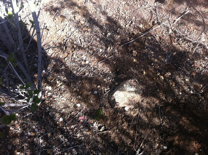 Soil, rock, and thorny bushes mark the groundcover at this confluence. 