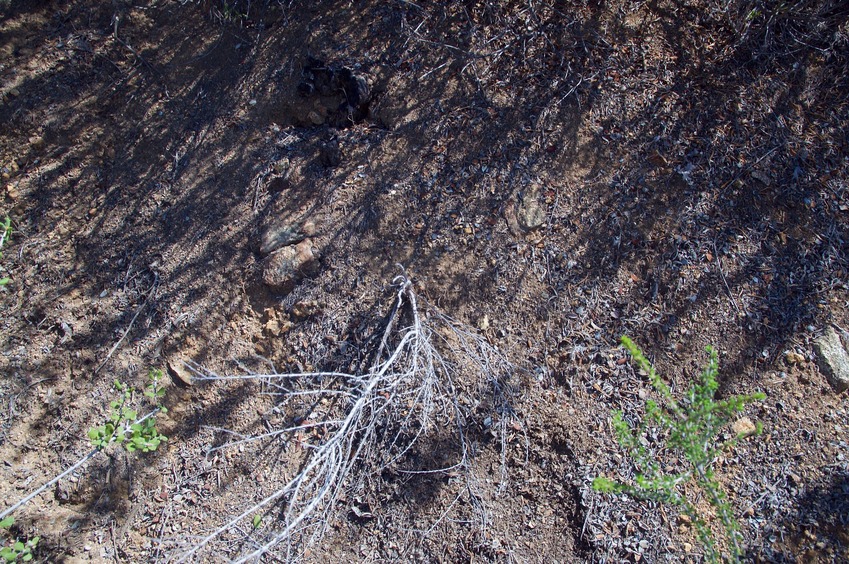 The confluence point lies on a steep, scrub-covered hillside