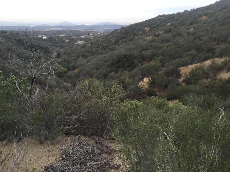 Confluence of 34 North 117 West, in the foreground, looking northwest at the great view.