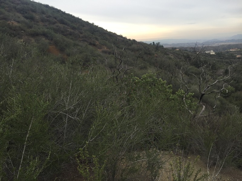 View to the west from the confluence.