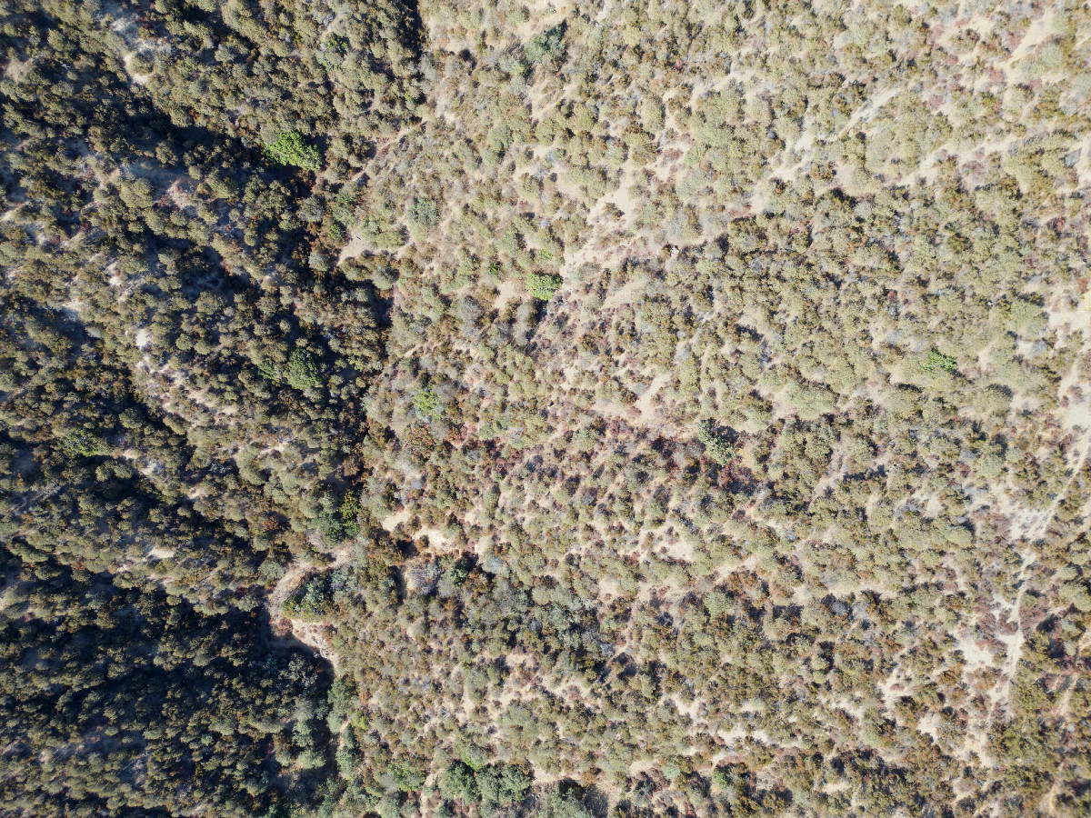 Looking down on the point from a height of 120m