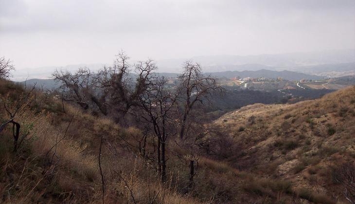 Looking West out towards Calimesa