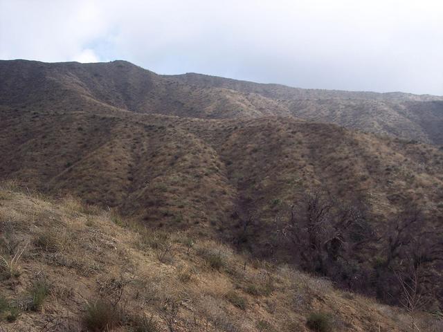 Towards confluence as seen from top of northern east-west ridge