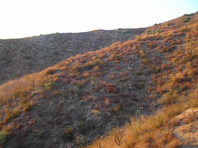 The golden California hills:  View to the north from near 34 North 117 West.