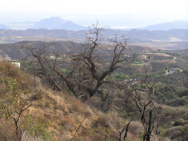 Magnificent view to the southwest from the confluence.